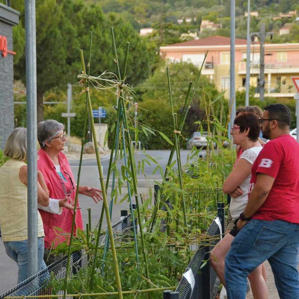 education à l'alimentation durable